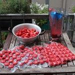 Nun kommt die Erdbeeren erst in den Mixer und dann in Eiswürfelbeutel, oder was auch immer ihr habt, um das Erdbeerpüree portionsweise einzufrieren.